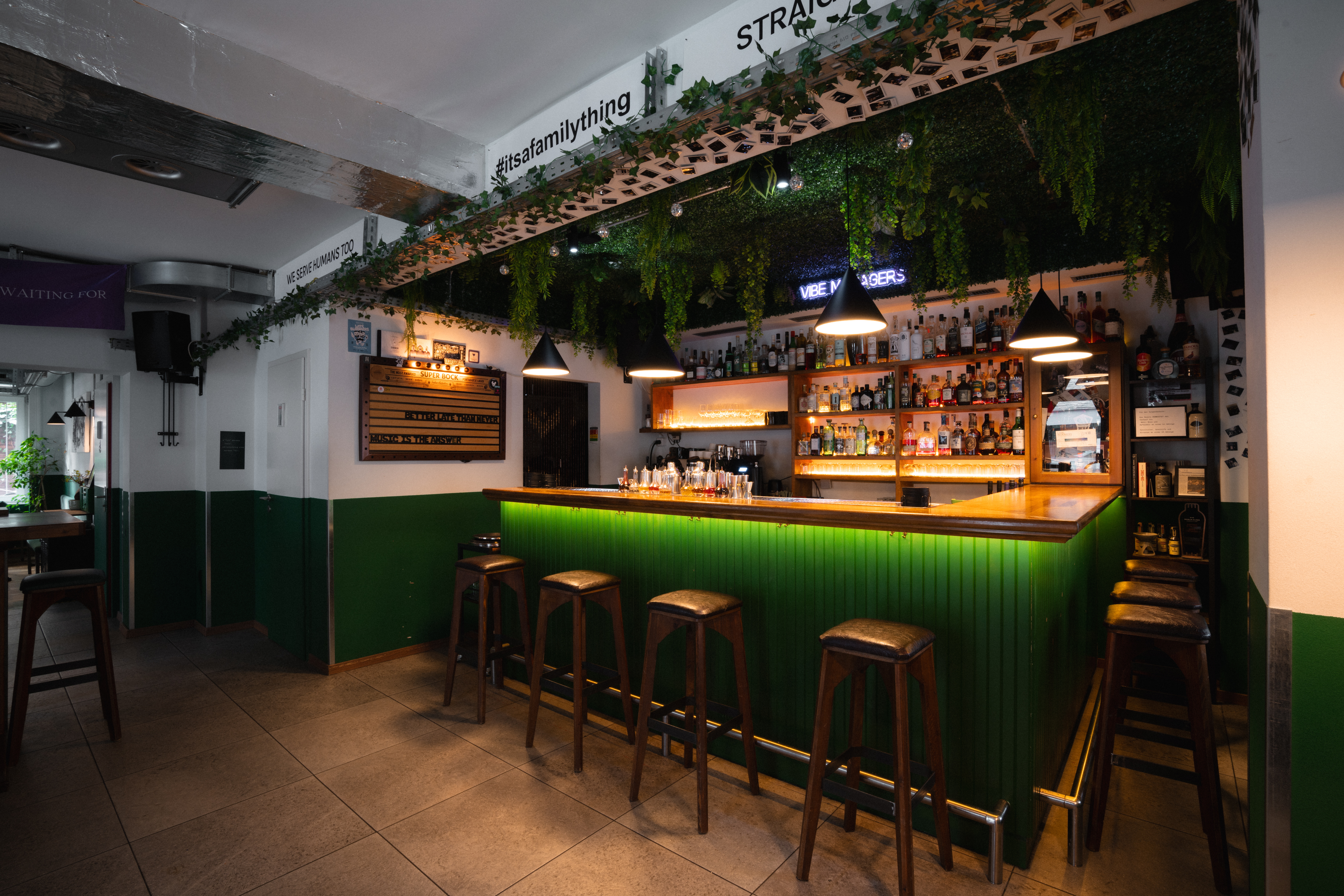 Late Bloomers Bar Interior Setup